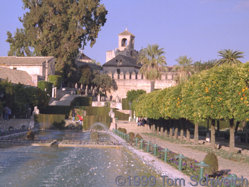 The Alcazar in Cordoba