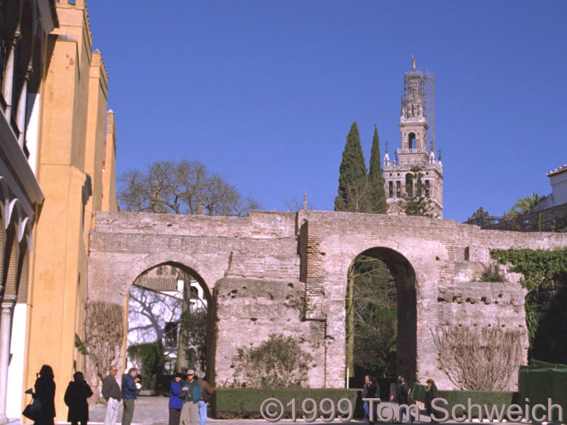 The oldest wall in the Alcazar.