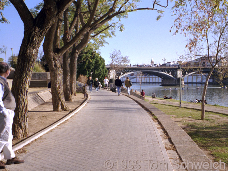 Rio Guadalquivir at the Triana Bridge