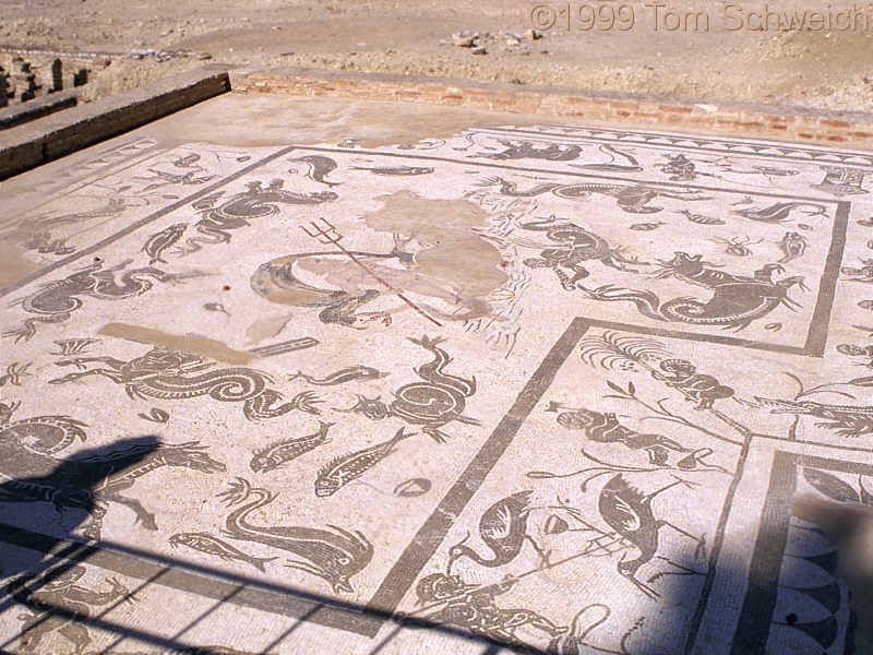 Detail of Mosaic Floor in Italica.