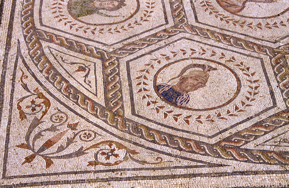 Detail of Mosaic Floor in Italica.