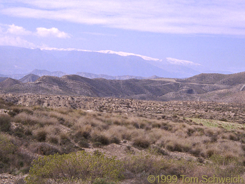 The desert near Tabernas.