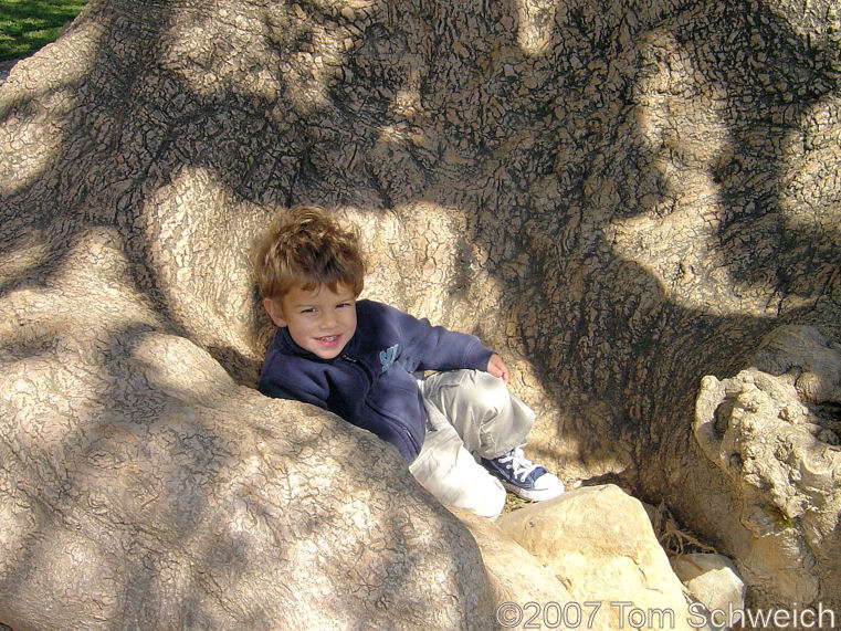 Ian at Baelo Claudio