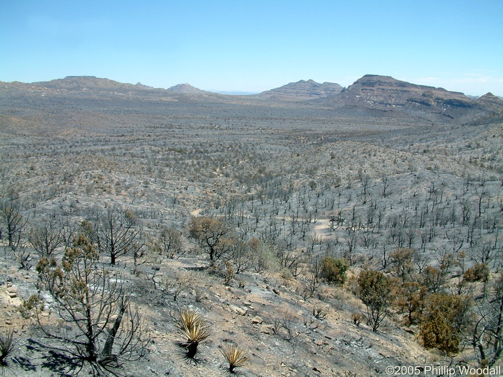 Winklers Cabin, Hackberry Fire Complex, Mojave National Preserve, San Bernardino County, California