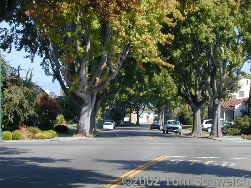 Gibbons Drive at Santa Clara.