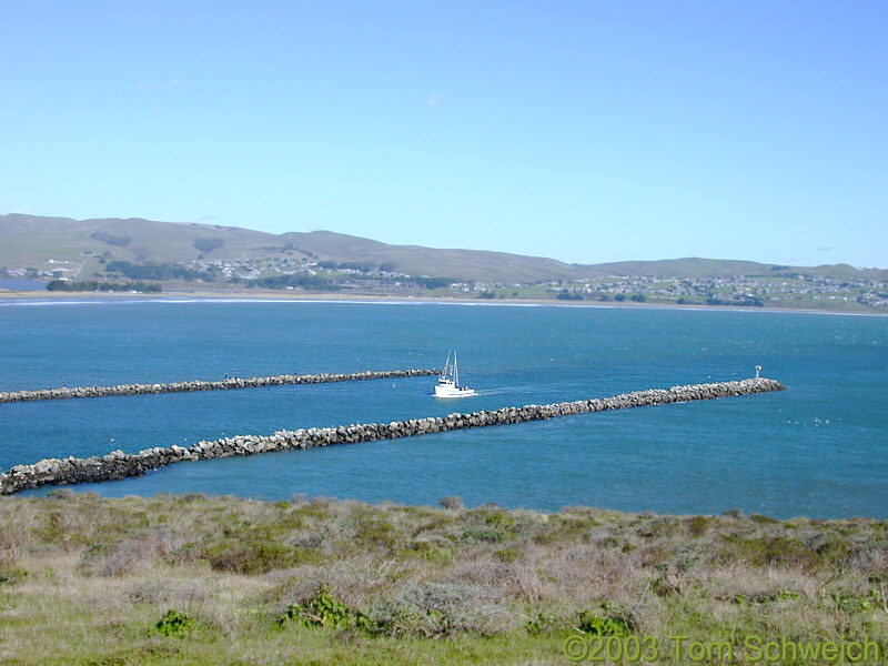 Fishing boat enters the harbor at Bodega Bay.