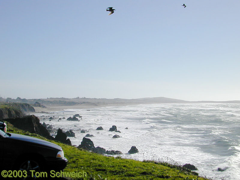 Salmon Creek Beach just north of Bodega Bay.