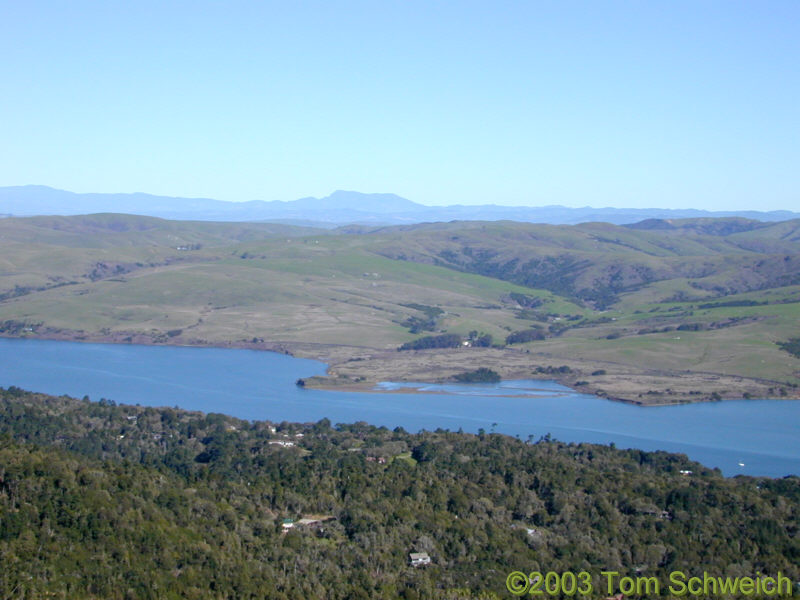 Tomales Bay from Mount Vision.