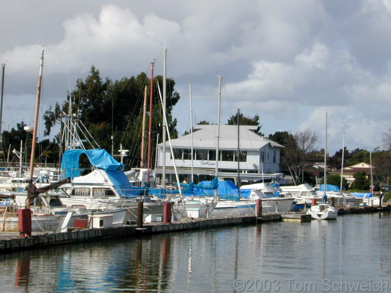Aeolian Yacht Club