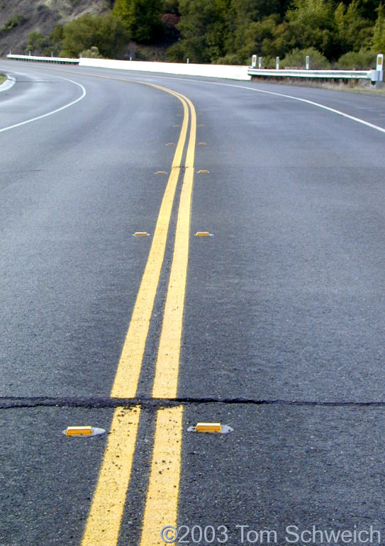 Earthquake cracks on California Highway 46.