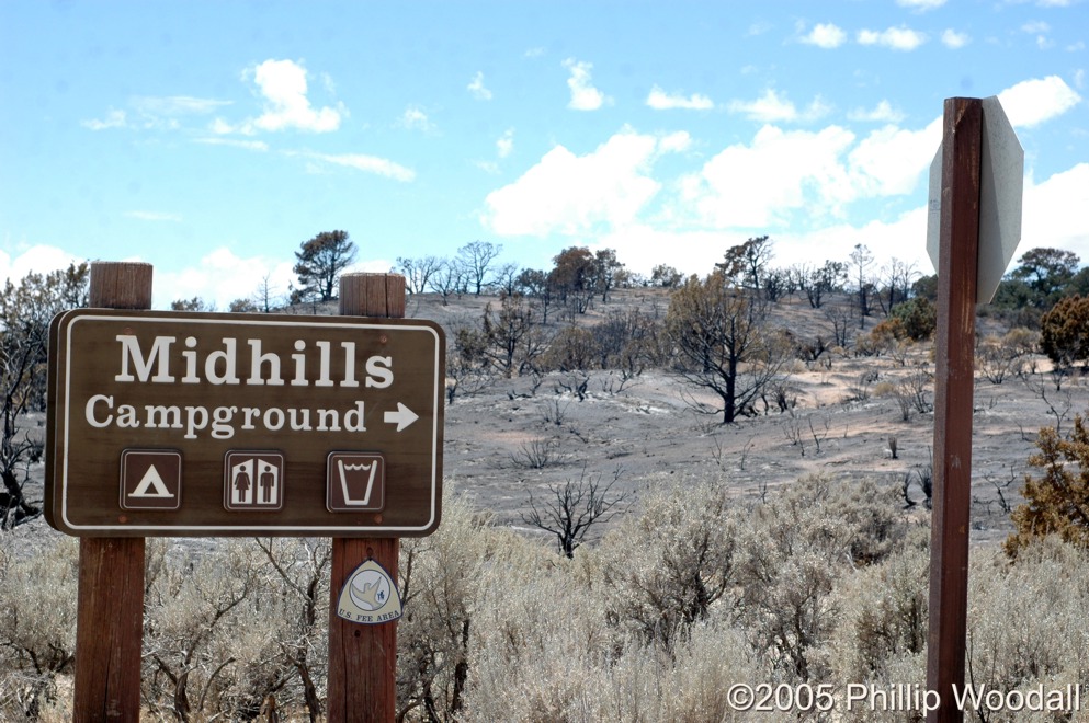 Mid Hills Campground, Hackberry Fire Complex, Mojave National Preserve, San Bernardino County, California
