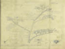 Full Size Image
