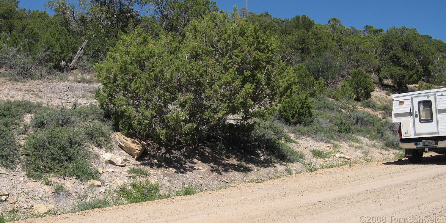 Colorado, Montezuma County, Cow Canyon