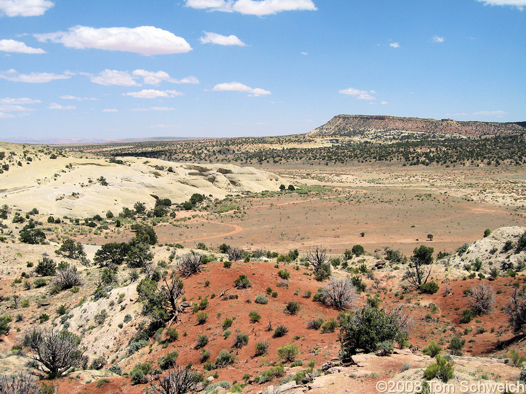 Utah, Garfield County, Left Hand Collet Canyon