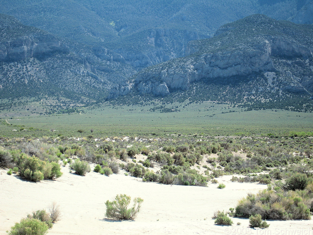 Nevada, White Pine County, Swallow Canyon