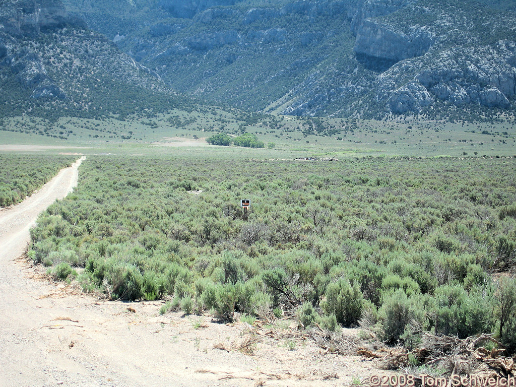 Nevada, White Pine County, Swallow Canyon