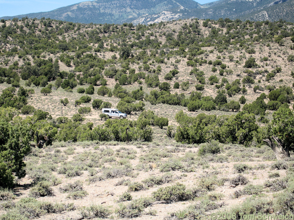 Nevada, White Pine County, North Spring Point