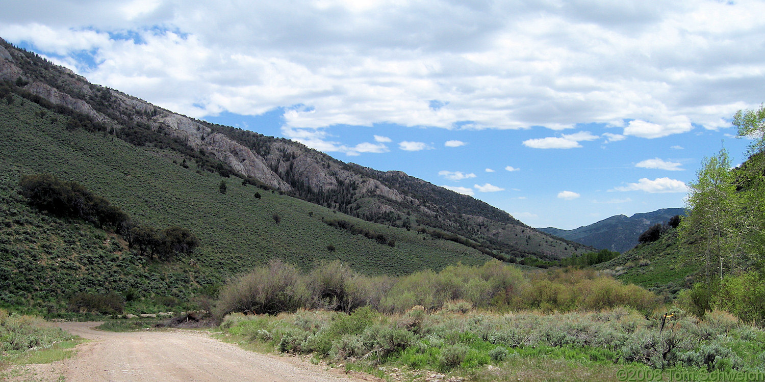 Nevada, White Pine County