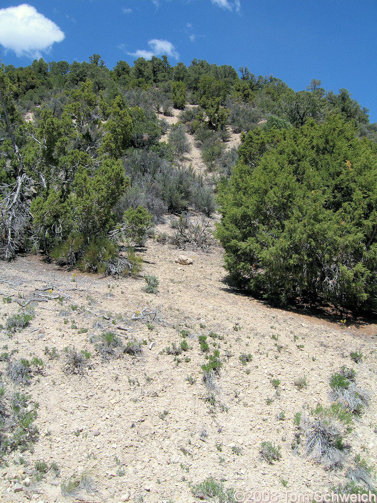 Nevada, White Pine County