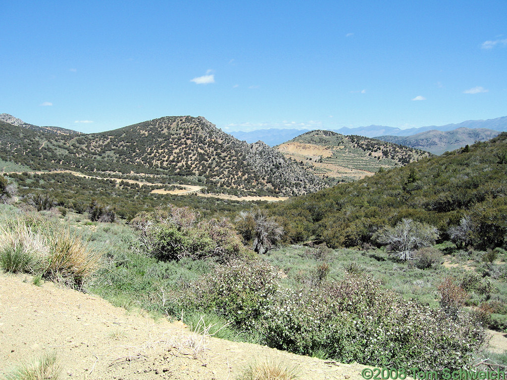 Nevada, Eureka County, Windfall Canyon