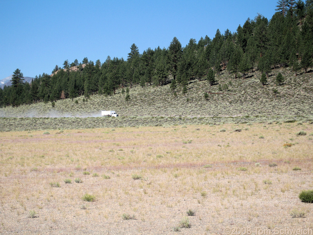 Californa, Mono County, Mono Craters, East Craters Sand Flat