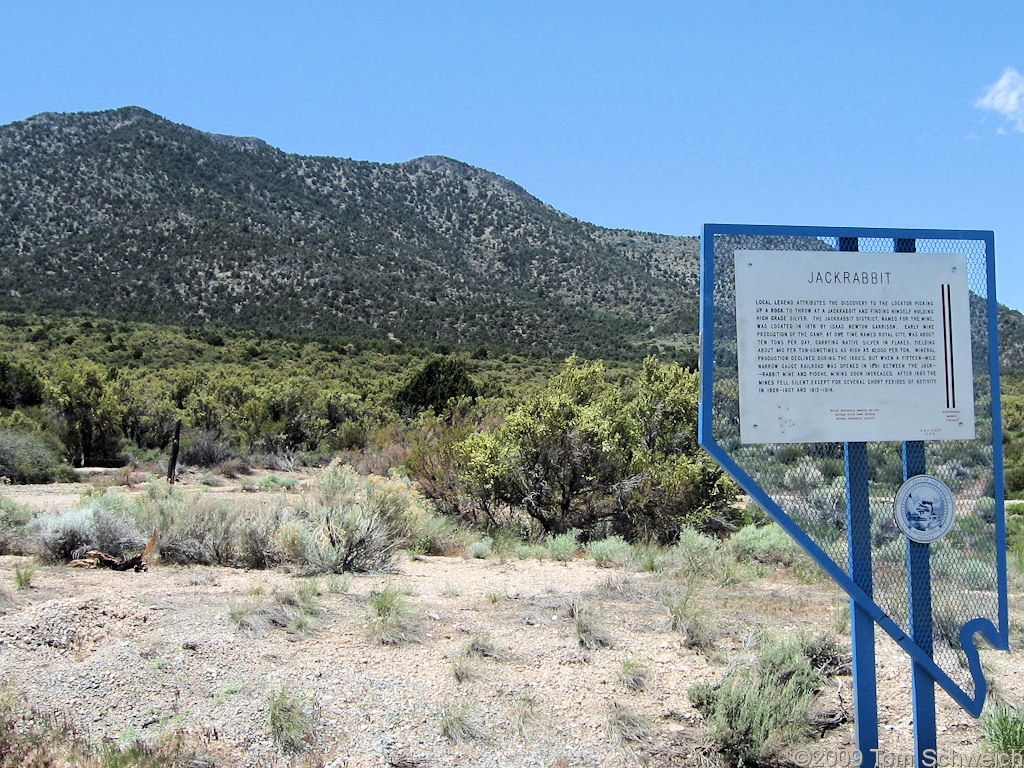 Jackrabbit, Lincoln County, Nevada