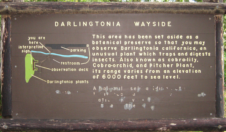 Darlingtonia State Wayside, Lane County. Oregon