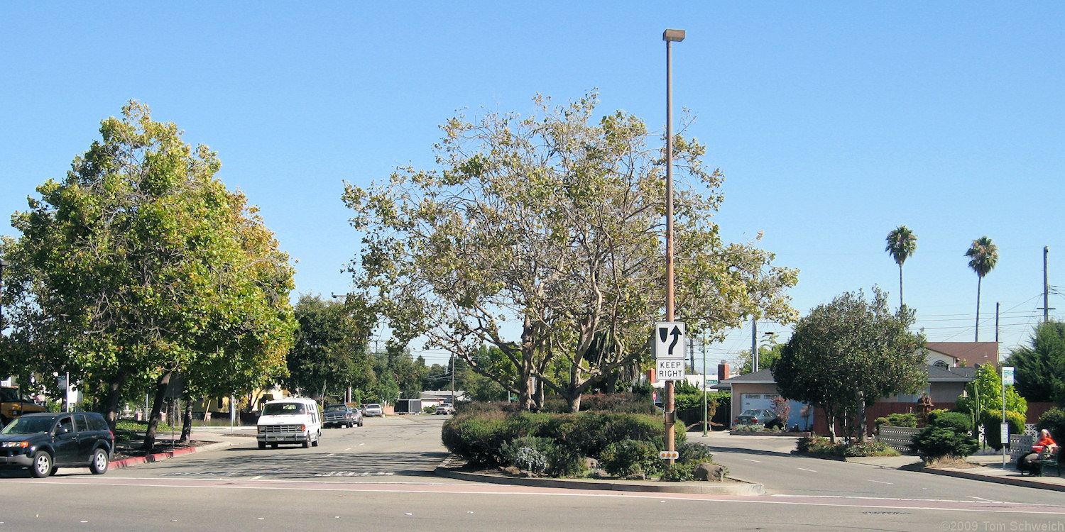 Mecartney Road, Alameda, Alameda County, California