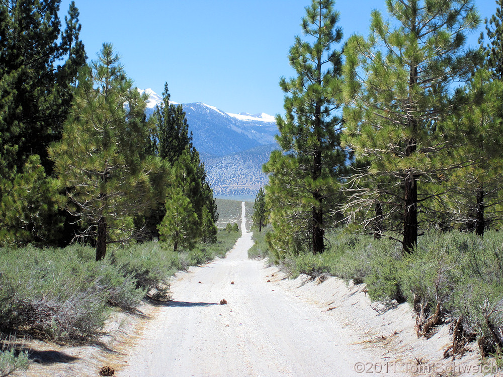 California, Mono County, Mono Craters