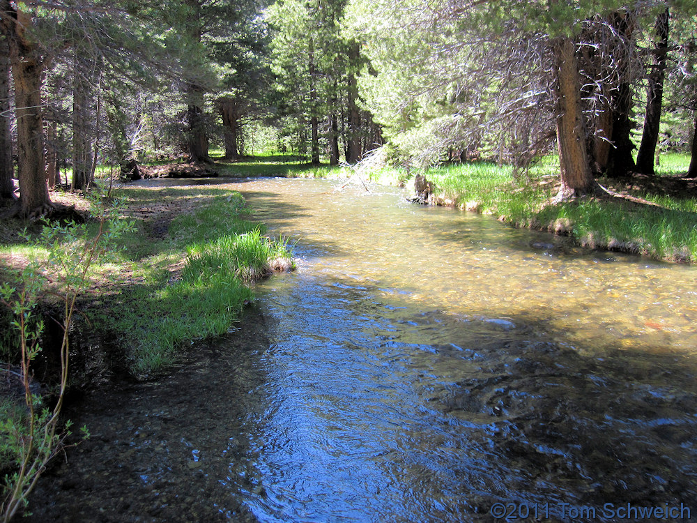 California, Mono County, Parker Creek