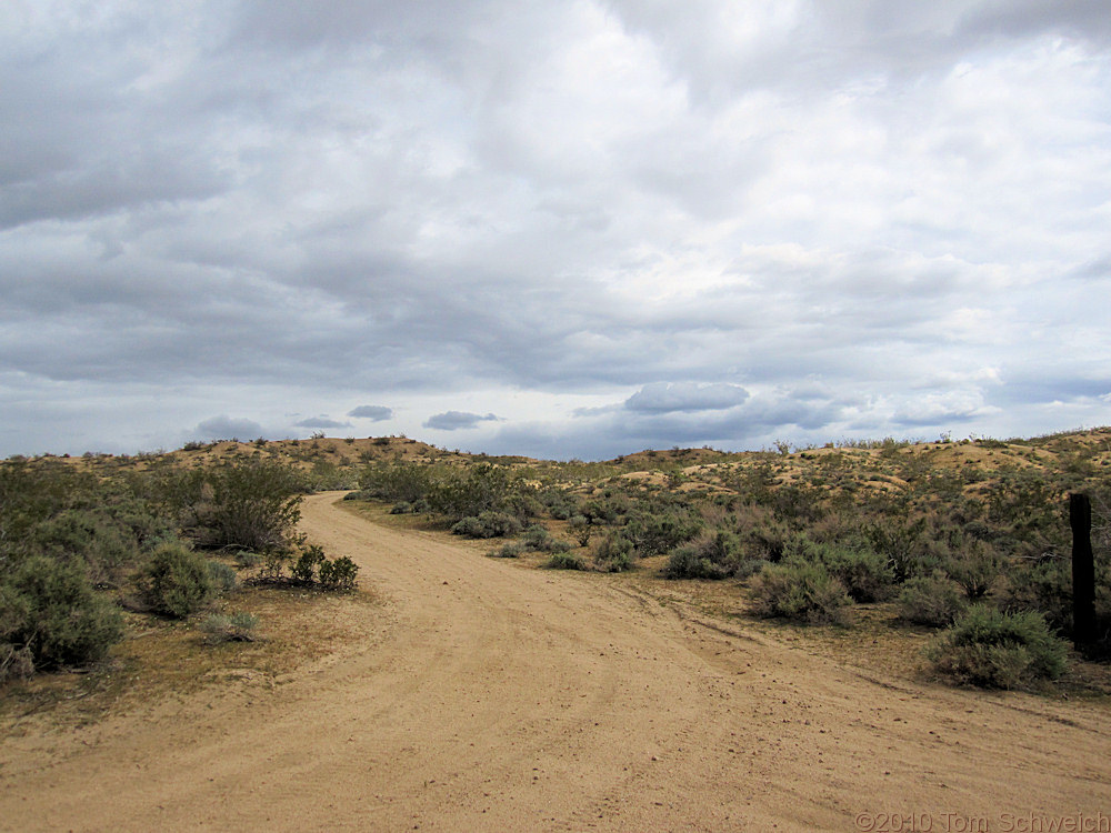 California, San Bernardino County, Central Mojave Desert