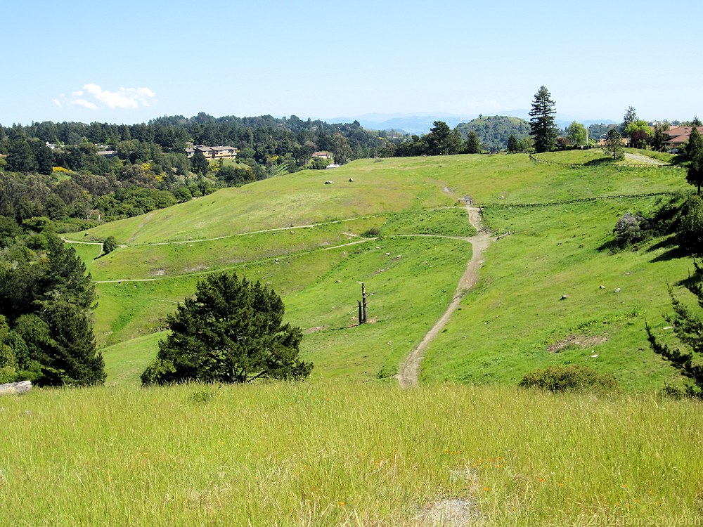 California, Alameda County, Oakland, Redwood Regional Park, Skyline Serpentine Prairie