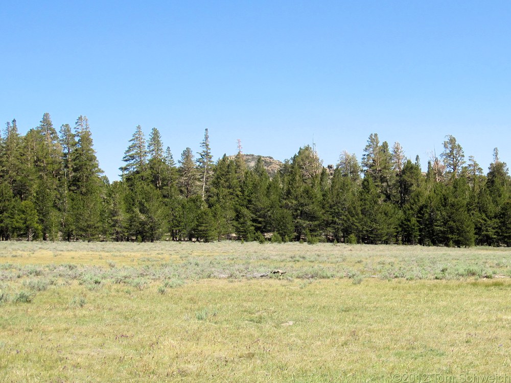 California, Mono County, Wild Horse Meadow