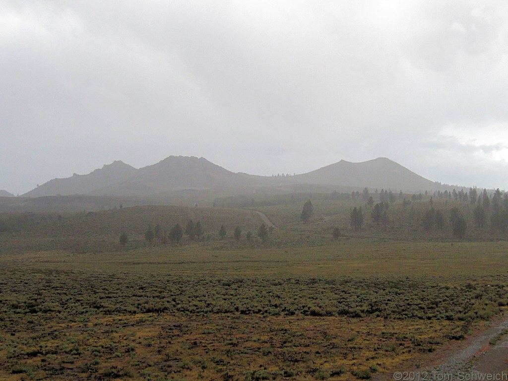 California, Mono County, Sagehen Meadow