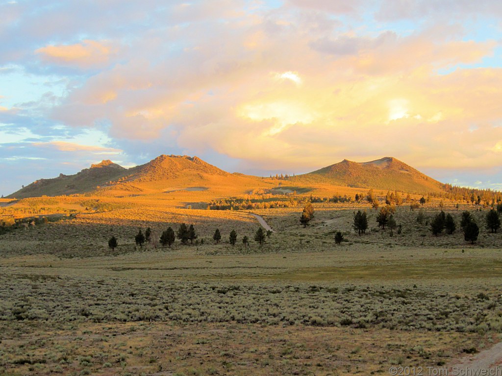 California, Mono County, Sagehen Meadow