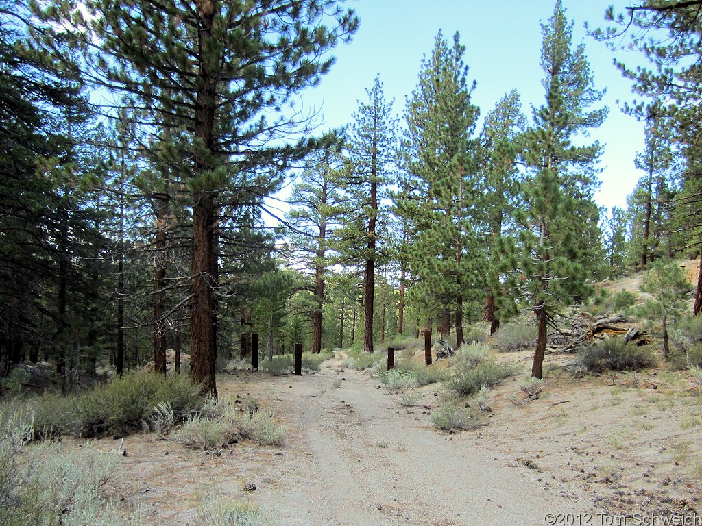 California, Mono County, Dry Creek