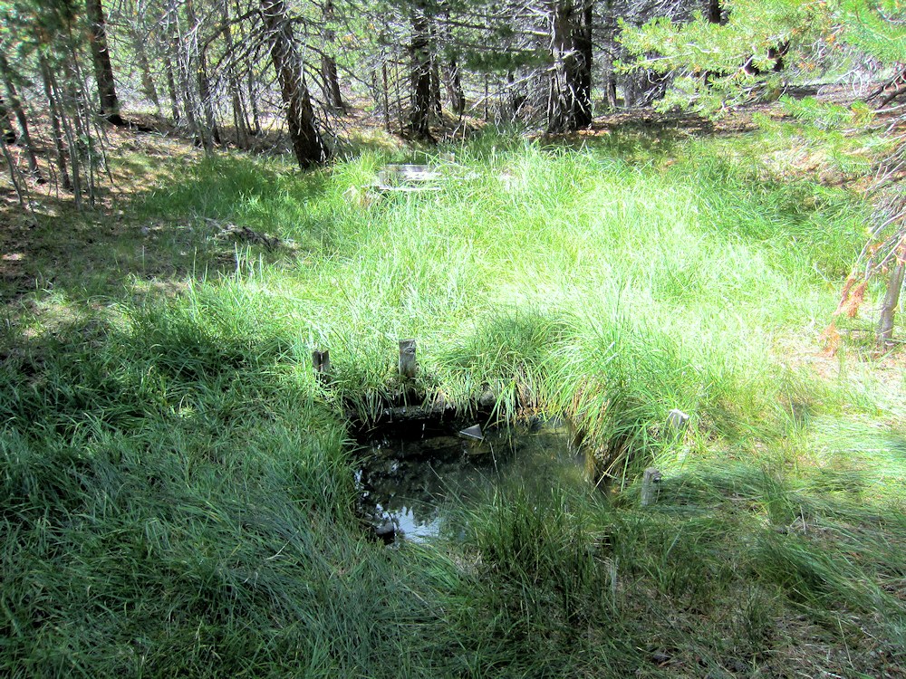 California, Mono County, Dry Creek