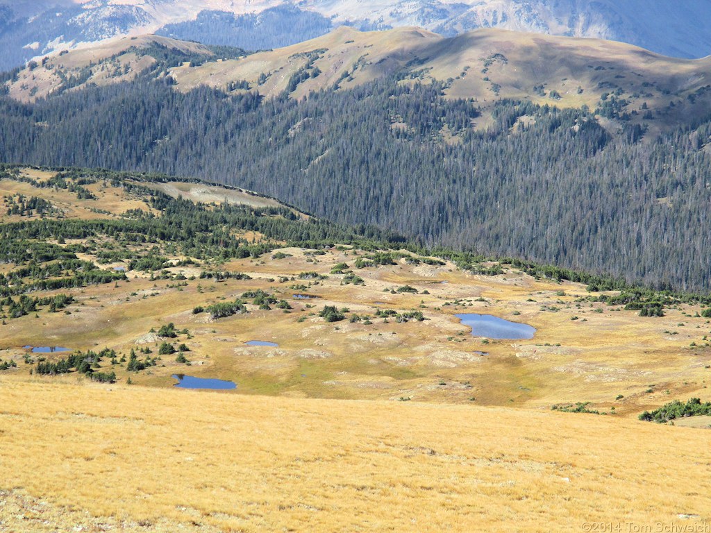 Colorado, Larimer County, Rocky Mountain National Park, Forest Canyon Pass