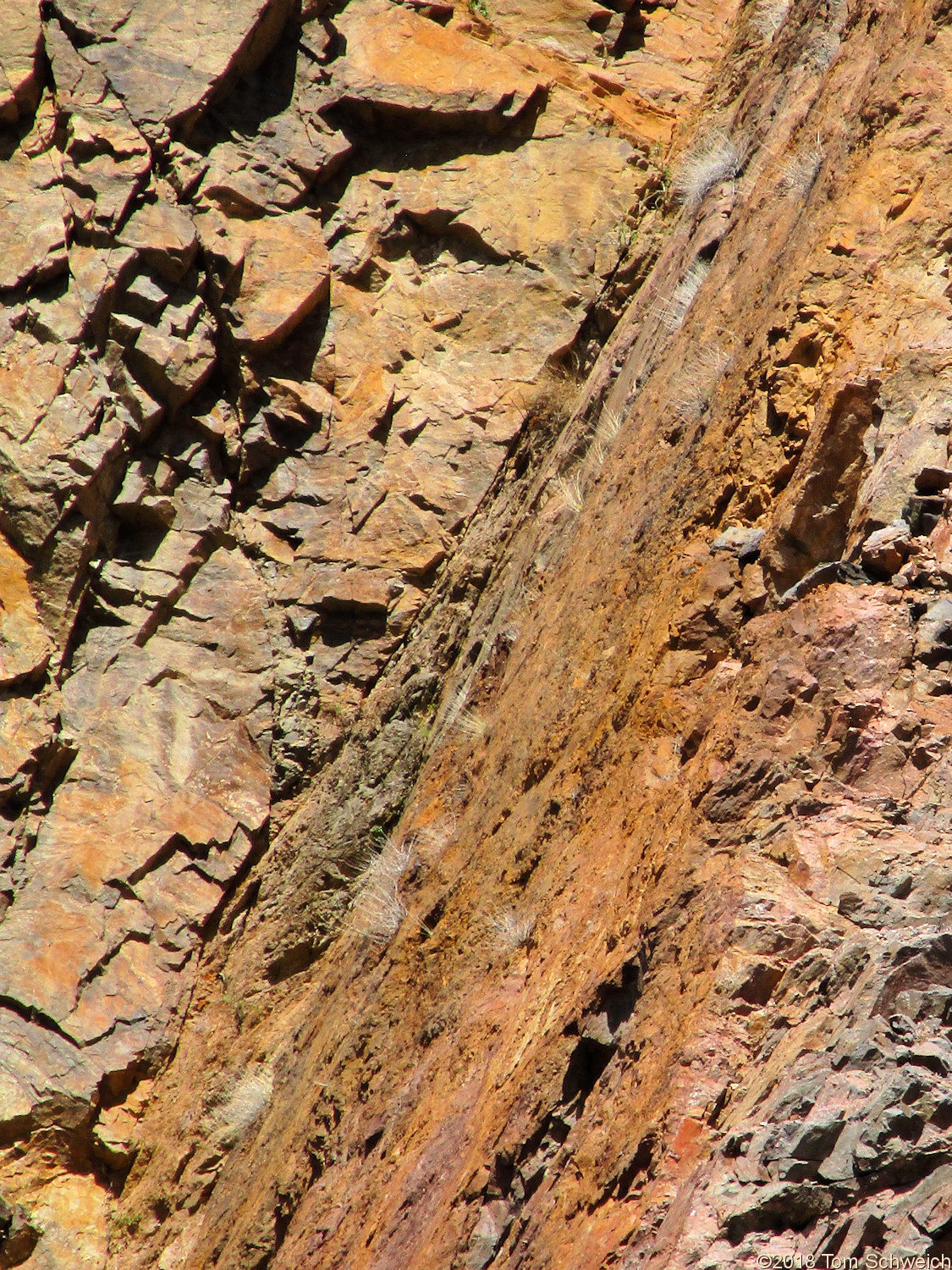 Colorado, Jefferson County, Clear Creek Canyon