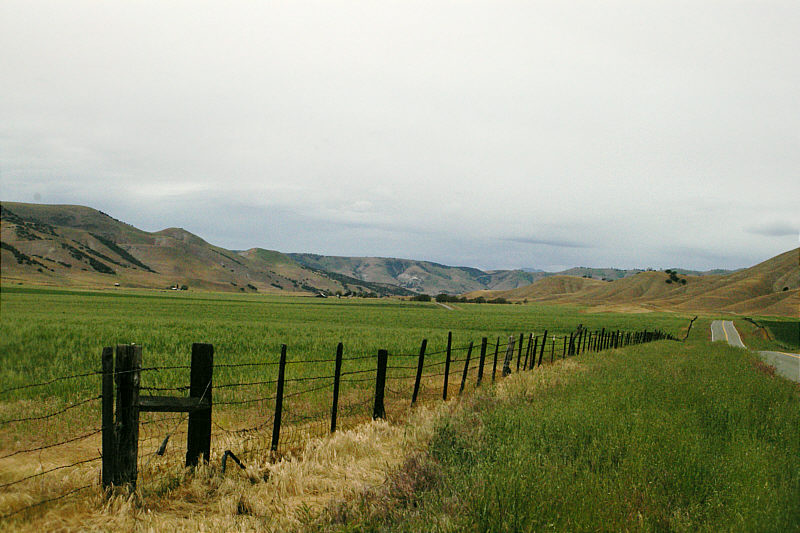 Looking north in Peachtree Valley from near CA Highway 198.