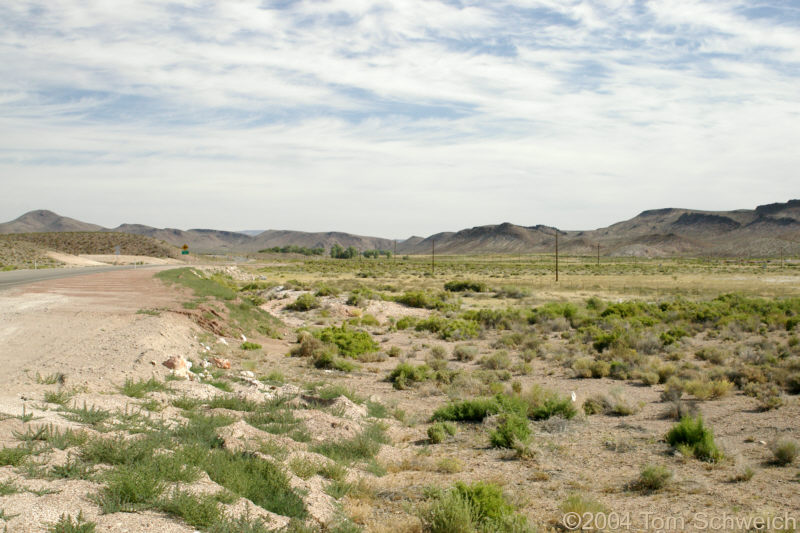 Roadside north of Beatty.