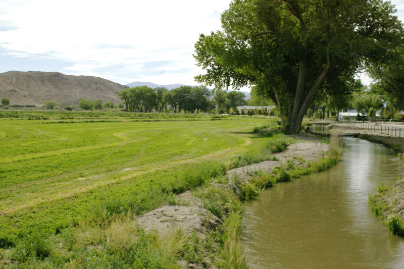 Irrigation canal containing water from the East Walker River.
