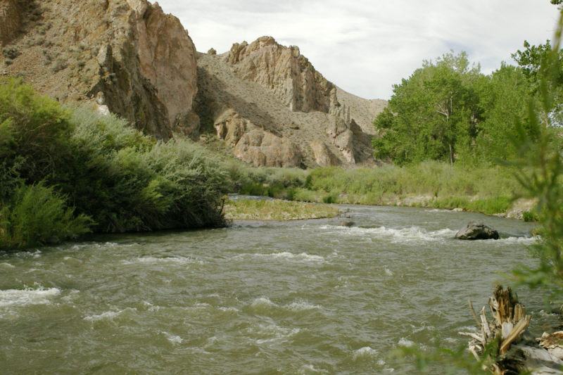 West Walker River in Wilson Canyon