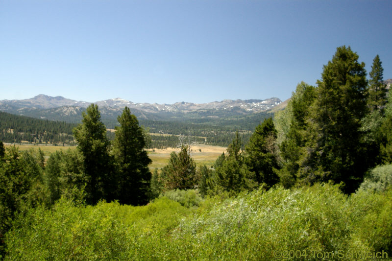 Hope Valley, looking southwest from CA Hwy 89.