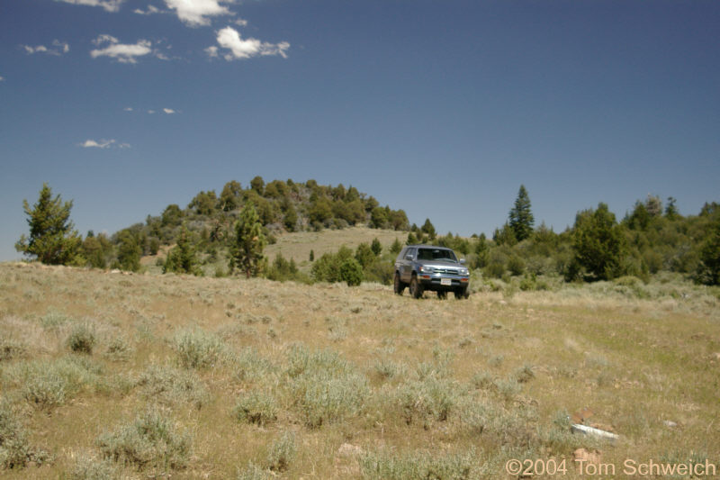 Lunch stop on Loop Road (Morningstar Road) near Monitor Pass.