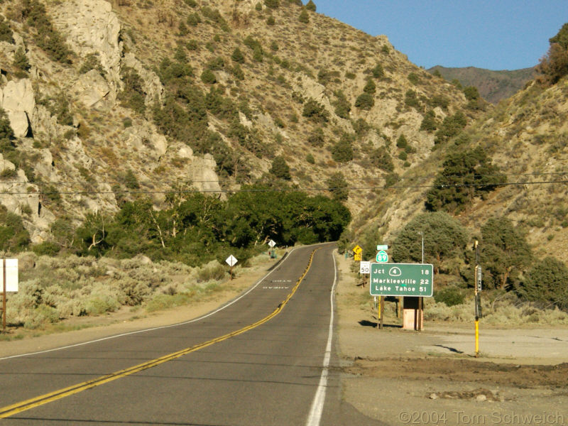 Beginning of CA Highway 89 at US Hwy 395.