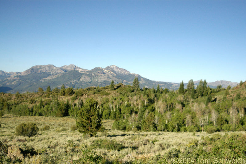 Silver Peak from Monitor Pass.