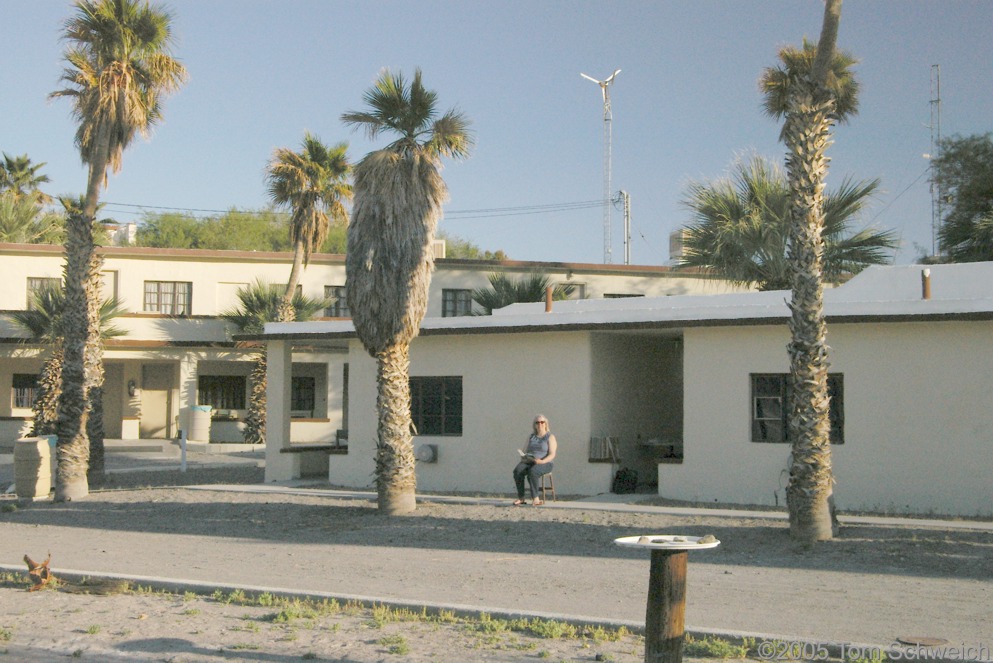 Soda Springs Desert Studies Center, Zzyzx, San Bernardino County, California