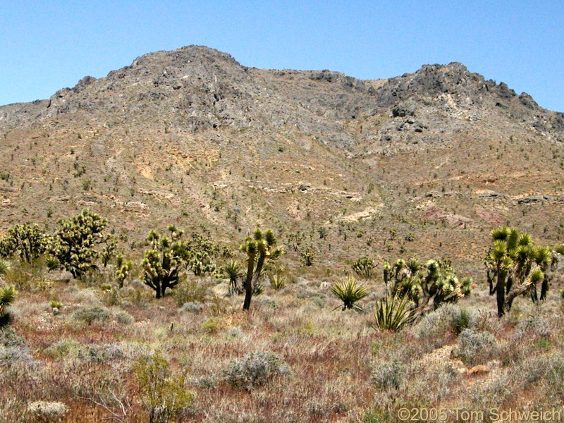 Mesquite Mountains, San Bernardino County, California