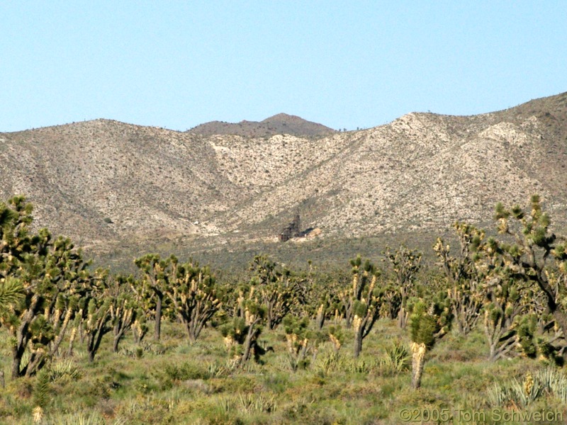 Evening Star Mine, Mojave National Park, San Bernardino County, California